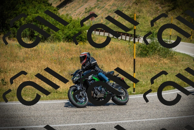 202507061202-DSC08023_c1_