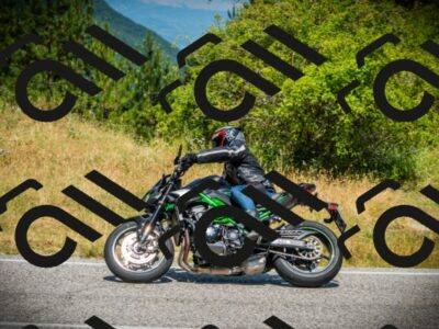 202507061202-DSC08024_c1_