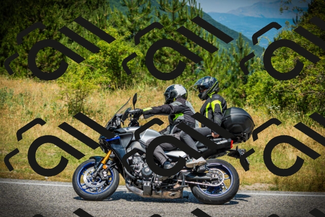 202507061203-DSC08031_c1_