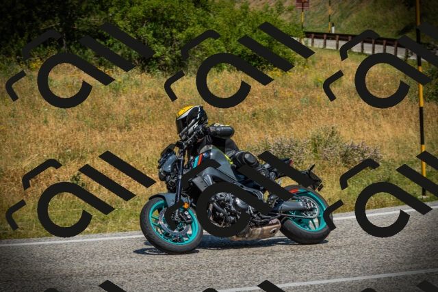 202507061206-DSC08094_c1_