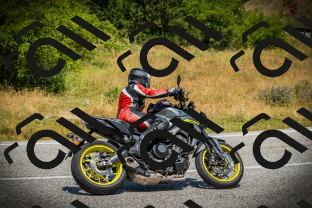 202507061206-DSC08105_c1_