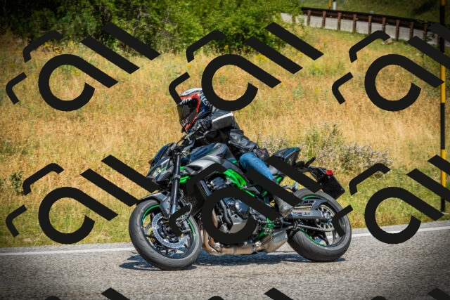 202507061207-DSC08142_c1_