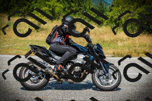 202507061207-DSC08154_c1_