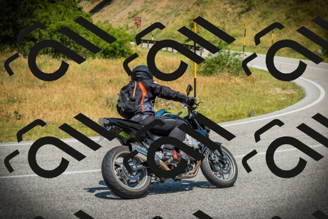 202507061207-DSC08155_c1_