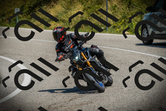 202507061211-DSC08212_c1_