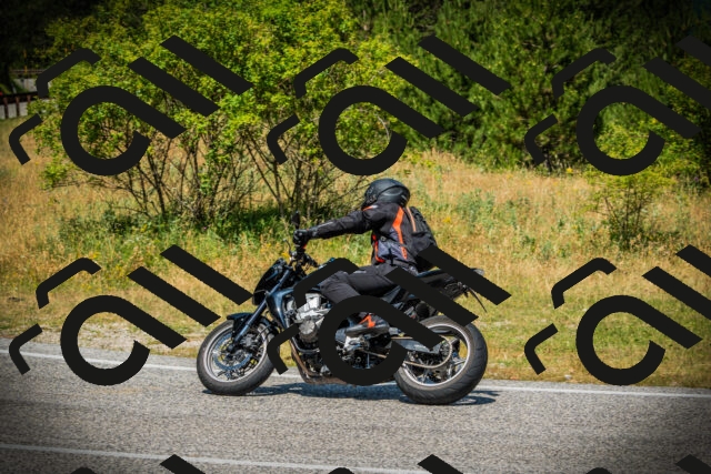 202507061212-DSC08245_c1_