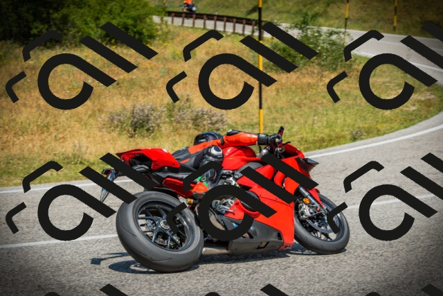 202507061220-DSC08313_c1_