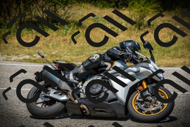 202507061225-DSC08455_c1_