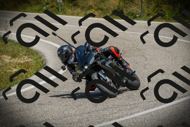 202507061225-DSC08469_c1_