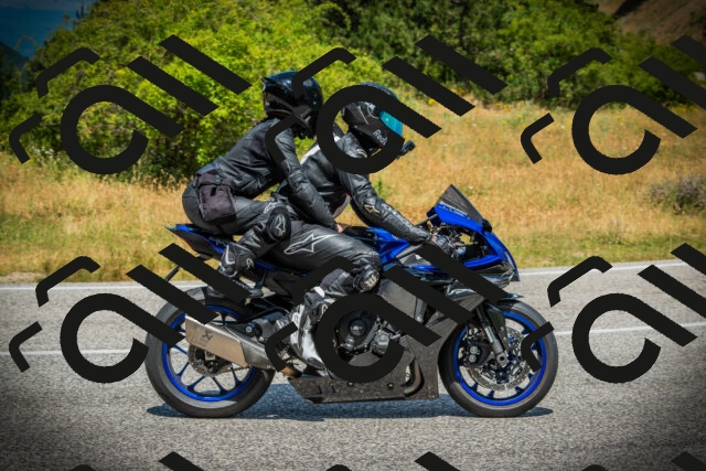 202507061228-DSC08553_c1_