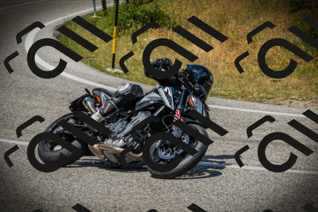 202507061231-DSC08626_c1_