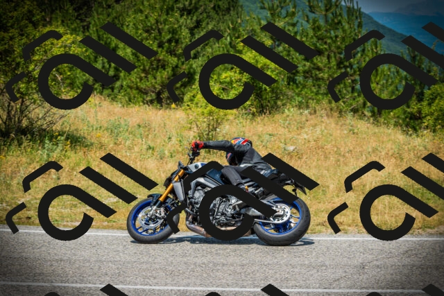 202507061232-DSC08652_c1_