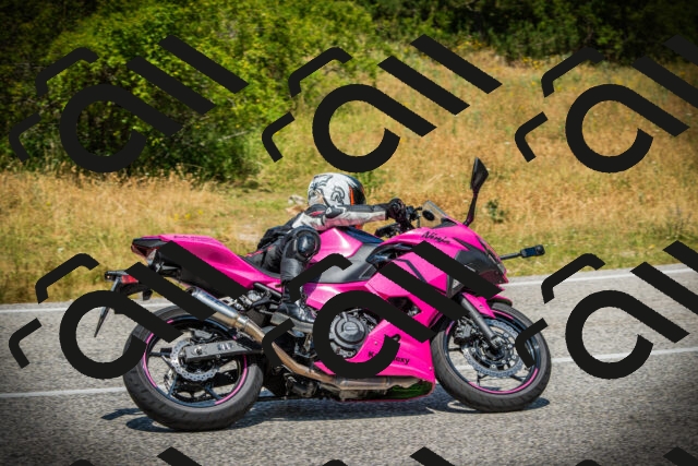 202507061232-DSC08663_c1_