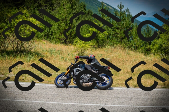 202507061234-DSC08712_c1_