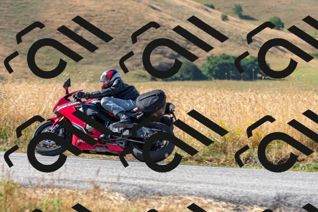 20250706091650_-R022581_r2