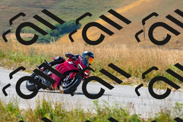 20250706095137_-R022771_r2