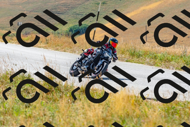 20250706100145_-R022858_r2