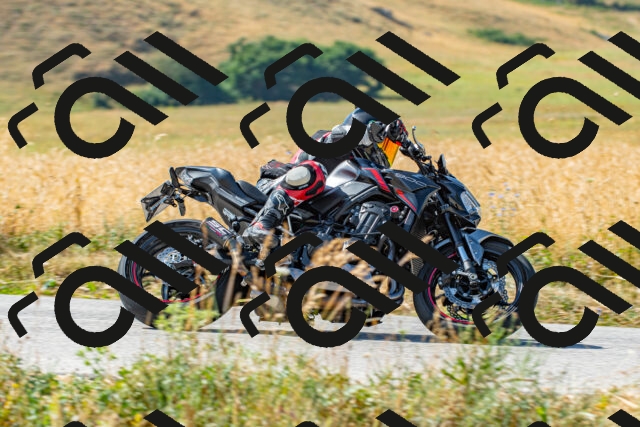 20250706100146_-R022862_r2