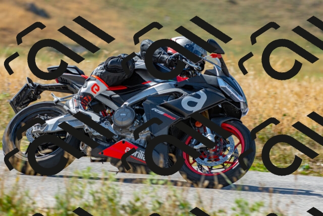 20250706100214_-R022877_r2