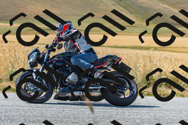 20250706100714_-R022937_r2