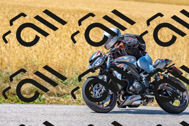 20250706110528_-R023573_r2