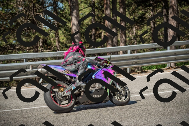 20250712095521-_5001868_am_