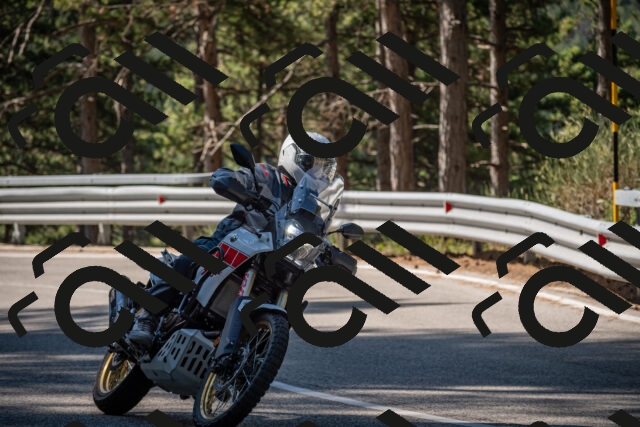 20250712100027-_5001873_am_