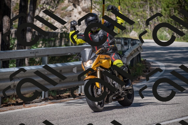 20250712101135-_5001932_am_