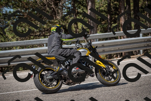 20250712103147-_5002101_am_