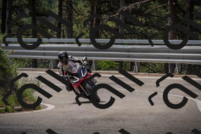 20250712110127-_5002350_am_