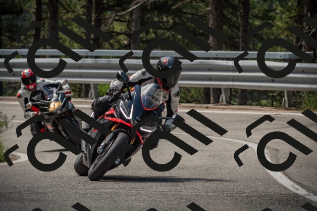 20250712110128-_5002353_am_