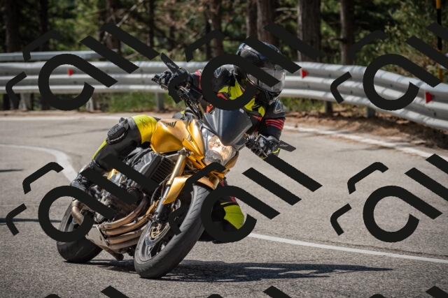 20250712111156-_5002502_am_