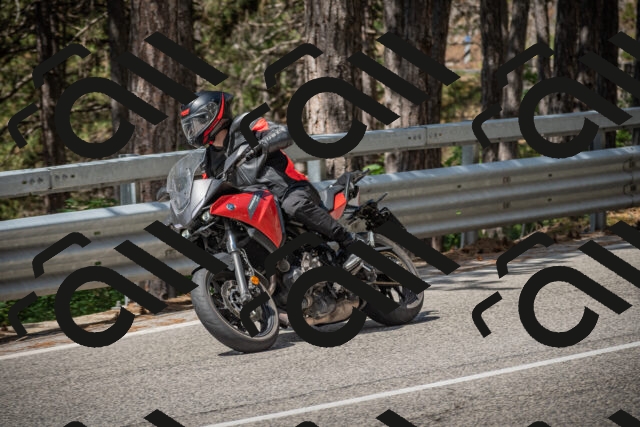 20250712111541-_5002559_am_