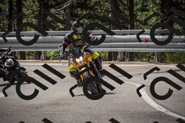 20250712112953-_5002675_am_