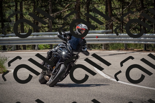 20250712113113-_5002693_am_