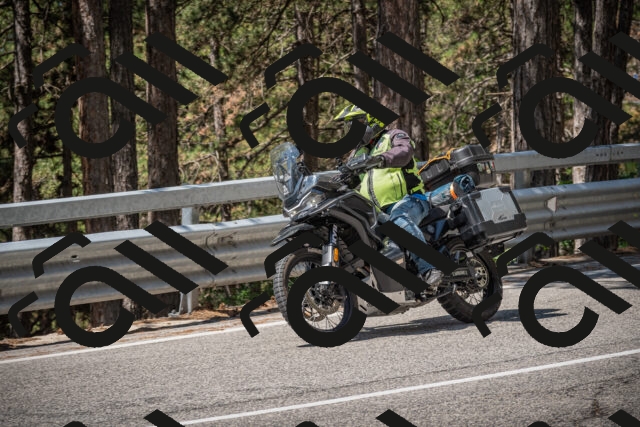 20250712114111-_5002845_am_