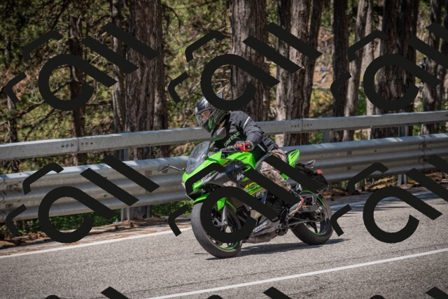 20250712114541-_5002934_am_