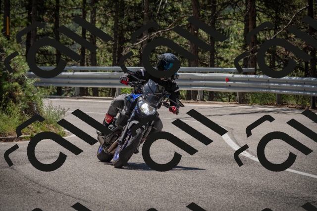 20250712115006-_5003012_am_