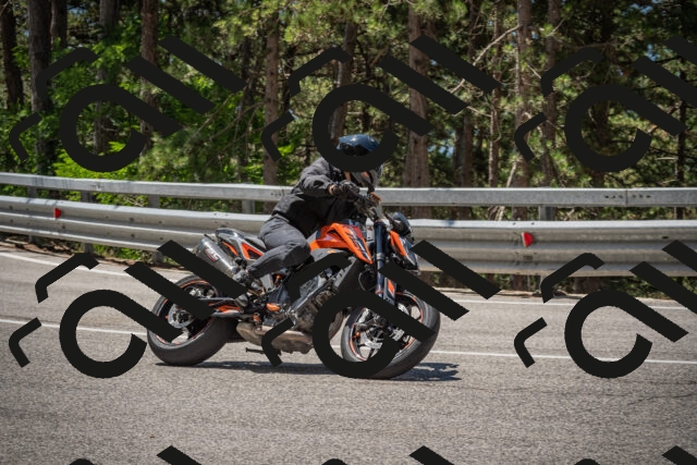 20250712120203-_5003150_am_