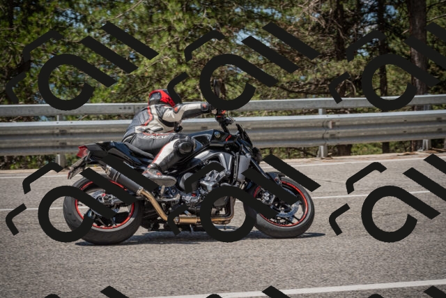 20250712120250-_5003175_am_