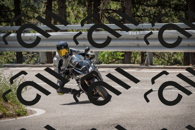 20250712120258-_5003176_am_