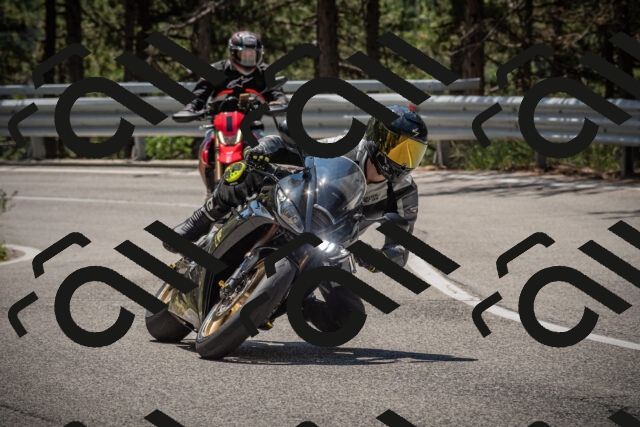 20250712120259-_5003178_am_