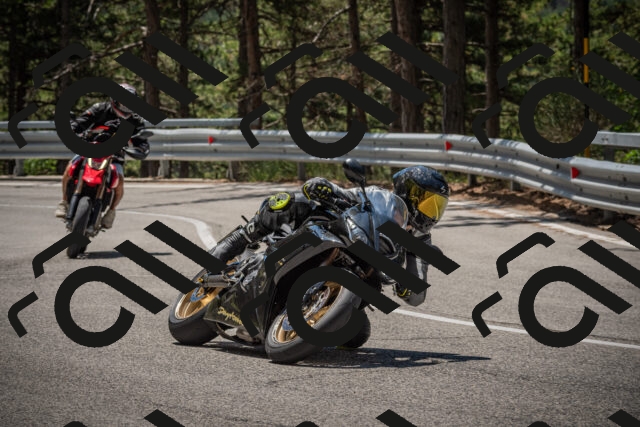 20250712120300-_5003179_am_