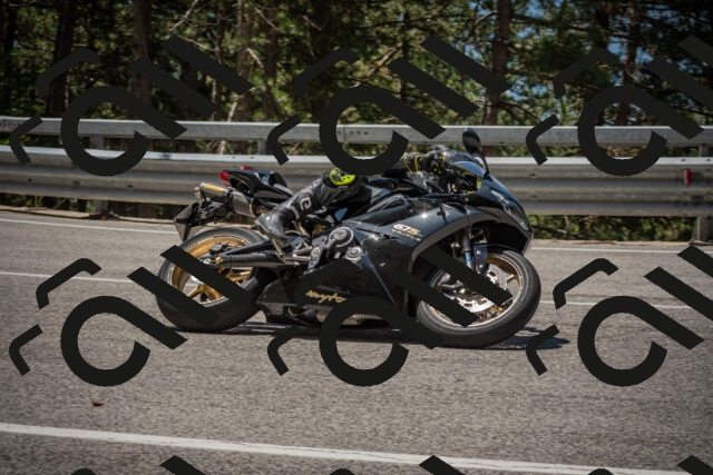 20250712120300-_5003181_am_