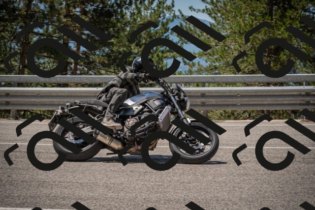 20250712120312-_5003196_am_