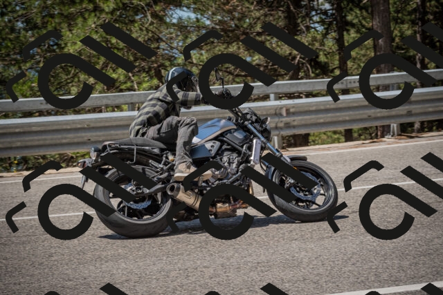 20250712120312-_5003197_am_