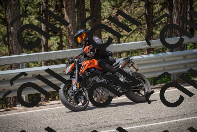 20250712120324-_5003204_am_