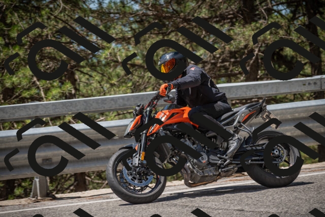 20250712120324-_5003205_am_