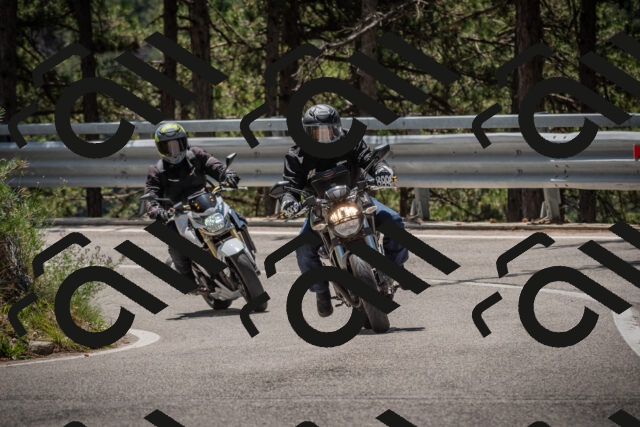 20250712120504-_5003219_am_