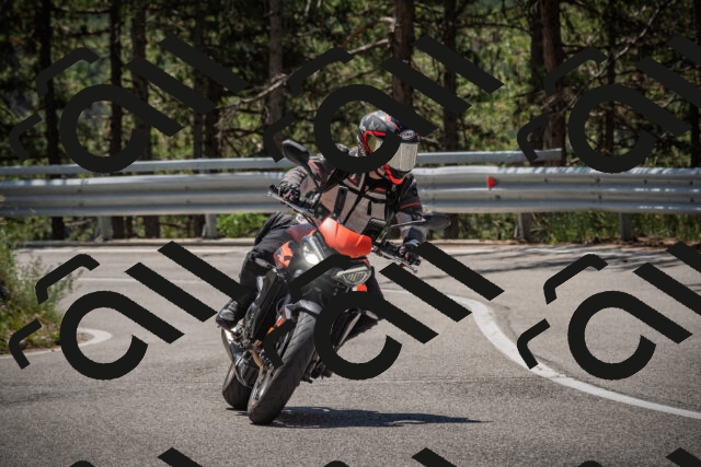 20250712120602-_5003234_am_